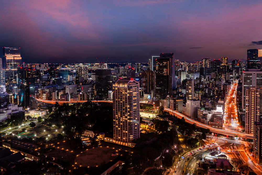 Tokyo City: A bird's eye view